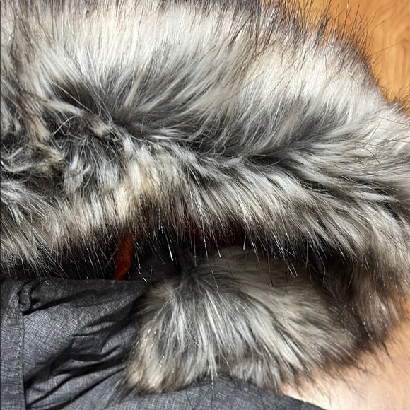 The North Face Gray Parka with Faux Fur Hood - Picture 4 of 7